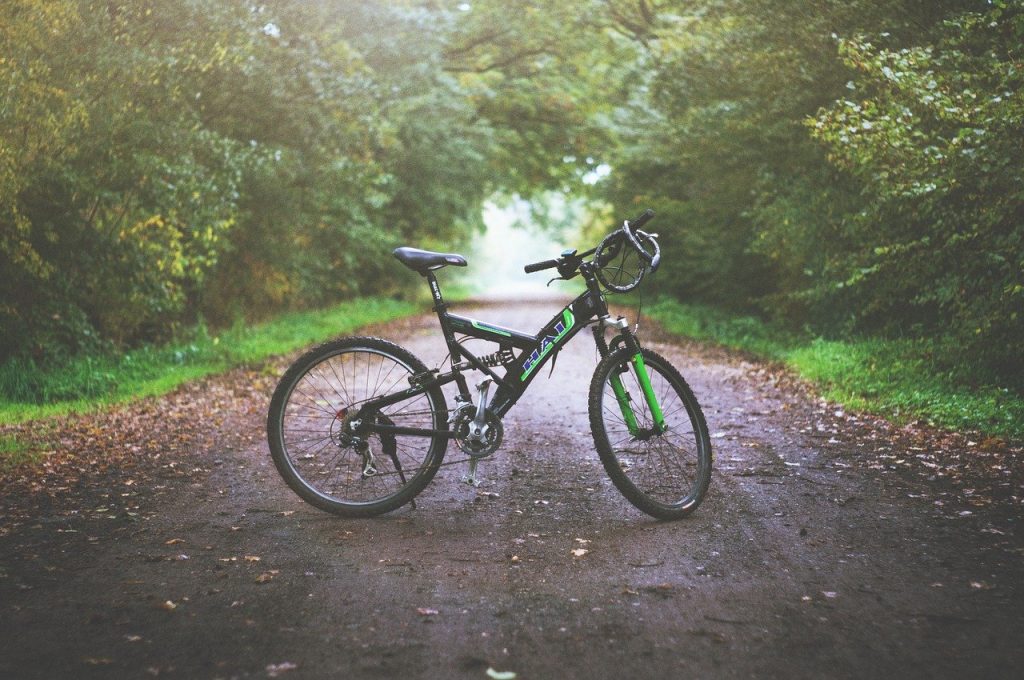 vélo sur un chemin de forêt