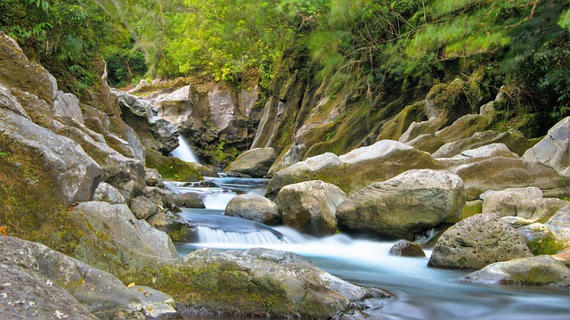 rivière voyage réunion 