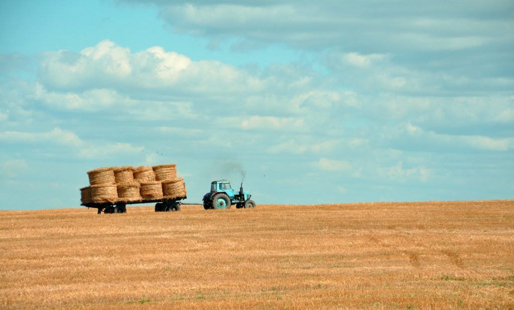 Vacances à la ferme