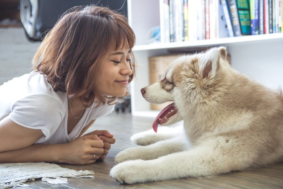 L’importance d’un animal de compagnie pour garder le moral